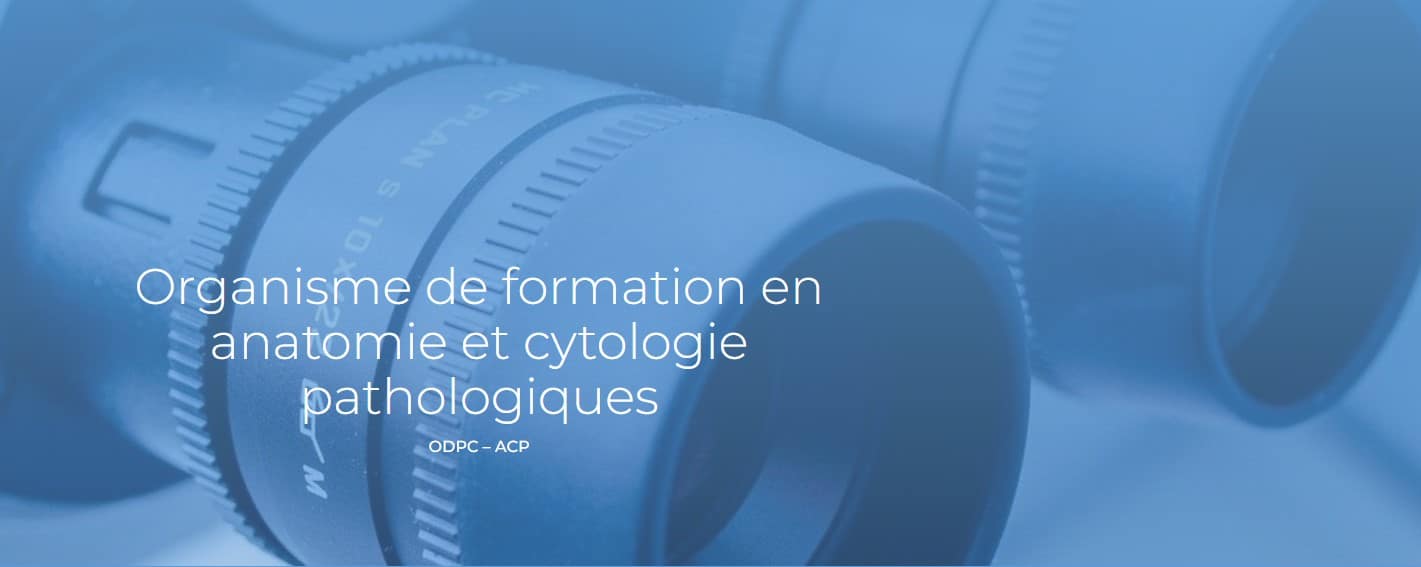 Réalisation Enregistrer Sous — ODPC-ACP