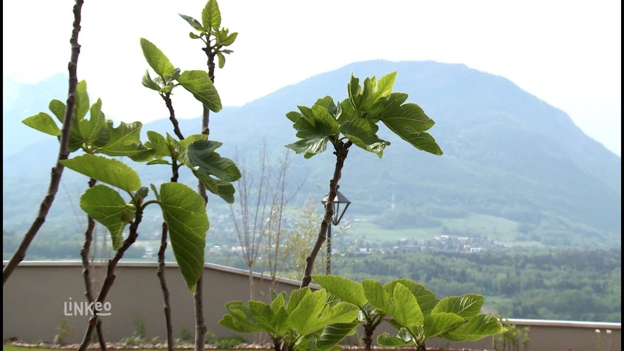 Gebel Espaces Verts — paysagiste / entretien d'espaces verts